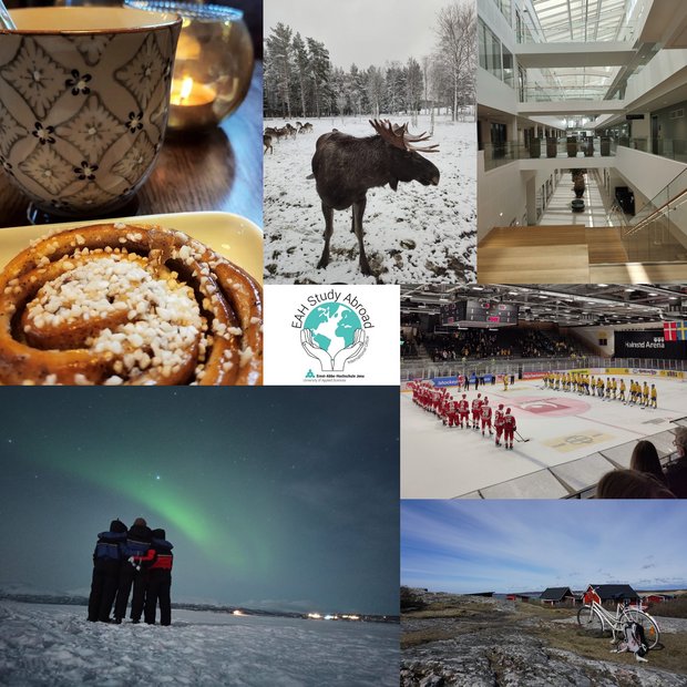 Collage aus verschiedenen Bildern von einem Auslandsaufenthalt in Schweden