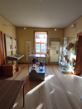 Foto vom Bienenmuseum in Weimar