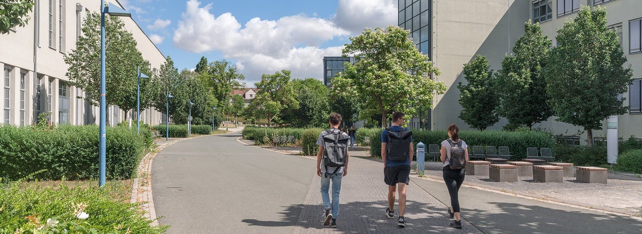 Zu sehen ist die begrünte Straße zwischen Haus 4 und Haus 3.