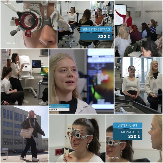 Videobeitrag mdr (Collage J. Dolata)