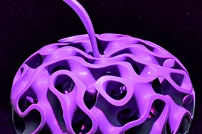 Forschende von EAH Jena und Uni Jena entwickeln in einem von der Carl-Zeiss-Stiftung geförderten Projekt biokompatible Mikrooptiken für Hightech-Endoskope