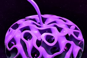 Forschende von EAH Jena und Uni Jena entwickeln in einem von der Carl-Zeiss-Stiftung geförderten Projekt biokompatible Mikrooptiken für Hightech-Endoskope