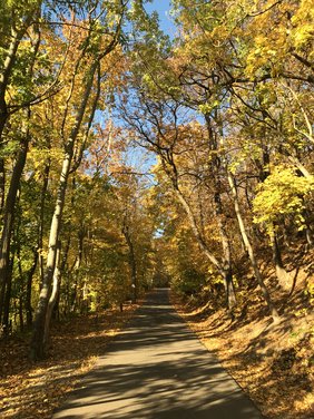 Radfahren im Jenaer Forst im Herbst