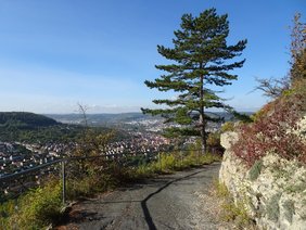Blick auf Jena von den Kernbergen