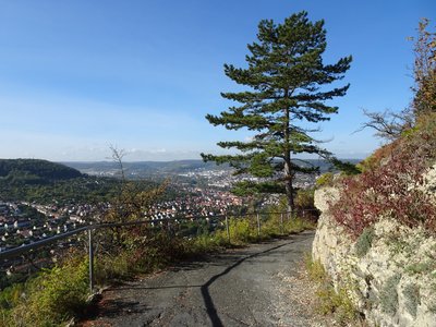 Blick auf Jena von den Kernbergen