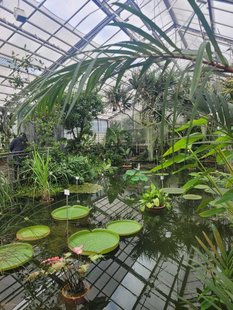 Blick in ein Gewächshaus mit See im Botanischen Garten Jena