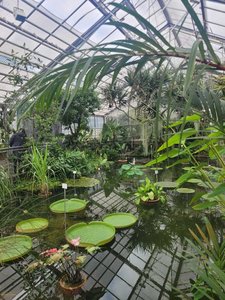 Blick in ein Gewächshaus mit See im Botanischen Garten Jena