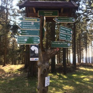 Foto vom Rennsteig, dem berühmten Wanderweg in Thüringen