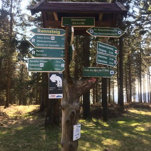 Foto vom Rennsteig, dem berühmten Wanderweg in Thüringen