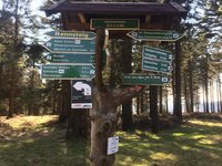 Foto vom Rennsteig, dem berühmten Wanderweg in Thüringen