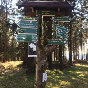 Foto vom Rennsteig, dem berühmten Wanderweg in Thüringen