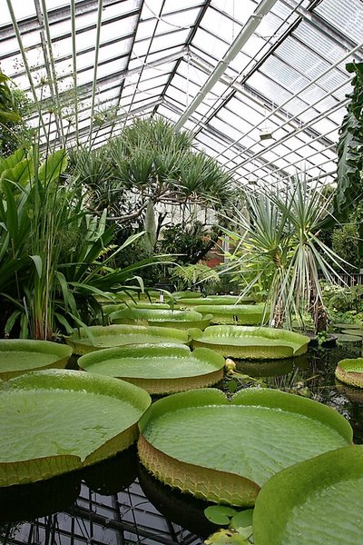 Foto des großen Gewächshauses im Botanischen Garten Jena