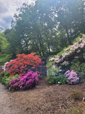 Blick in den Gartenbereich des Botanischen Gartens Jena