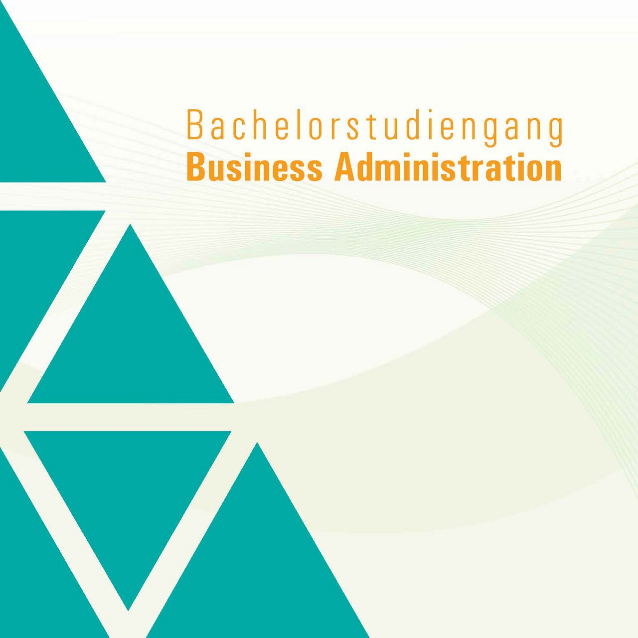 Titelseite Broschüre Bachelor BA