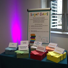 Feedback boxes: sweet words from graduates for their professors