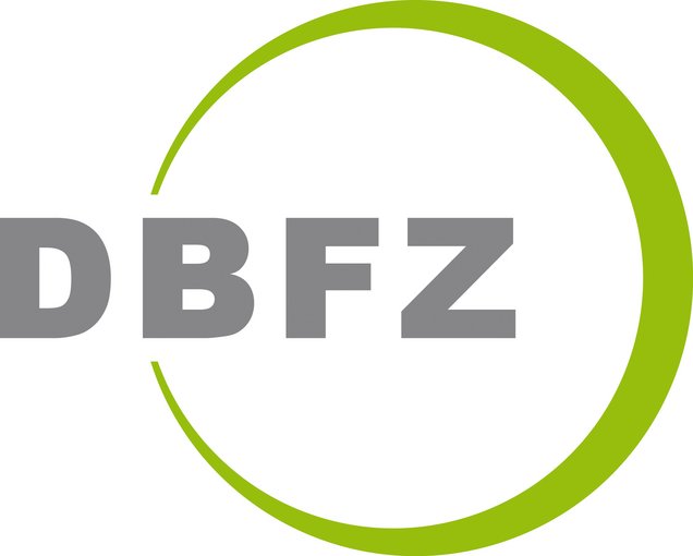 Deutsches Biomasseforschungszentrum gemeinnützige GmbH