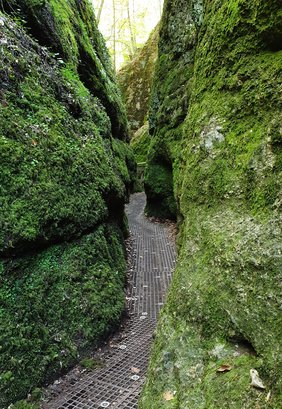 Foto der Drachenschlucht in Eisenach