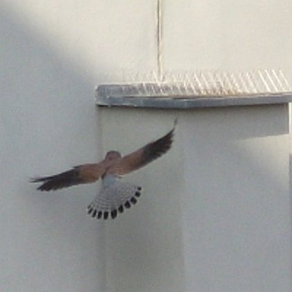 Nachbarschaft