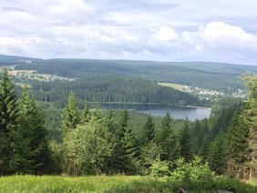 Foto vom Rennsteig, dem berühmten Wanderweg in Thüringen