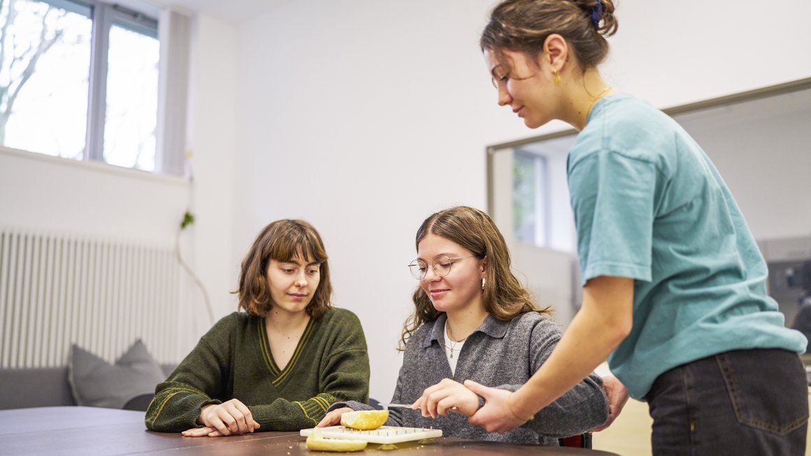 Bachelor Ergotherapie