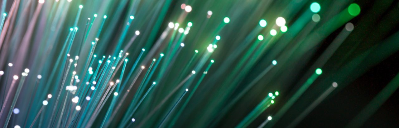 Unser Service für Ihre Forschung Viele Lichtleitkabel mit Leuchteffekt