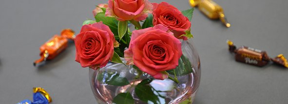 Blumendetail zur Absolvent*innen-Feier am 23.05.2025