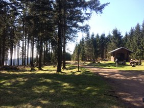Foto vom Rennsteig, dem berühmten Wanderweg in Thüringen