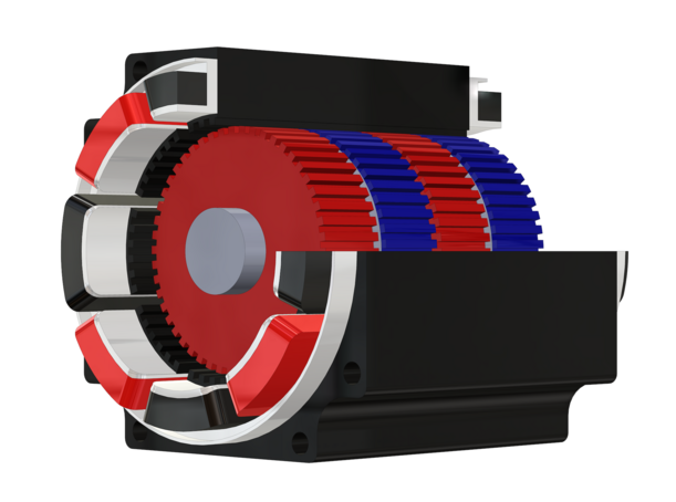 Schnittmodell Hybridschrittmotor Schnittmodell Hybridschrittmotor