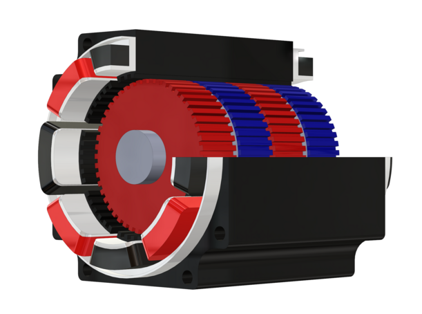 Schnittmodell Hybridschrittmotor