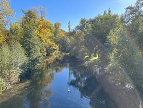 Weimar entdecken