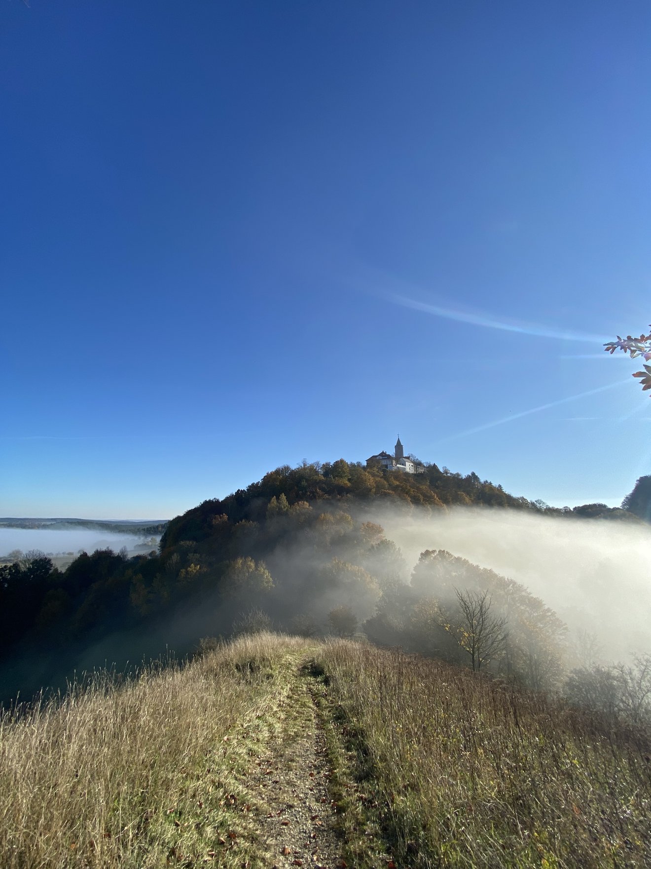 Leuchtenburg am Morgen