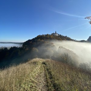 Leuchtenburg am Morgen