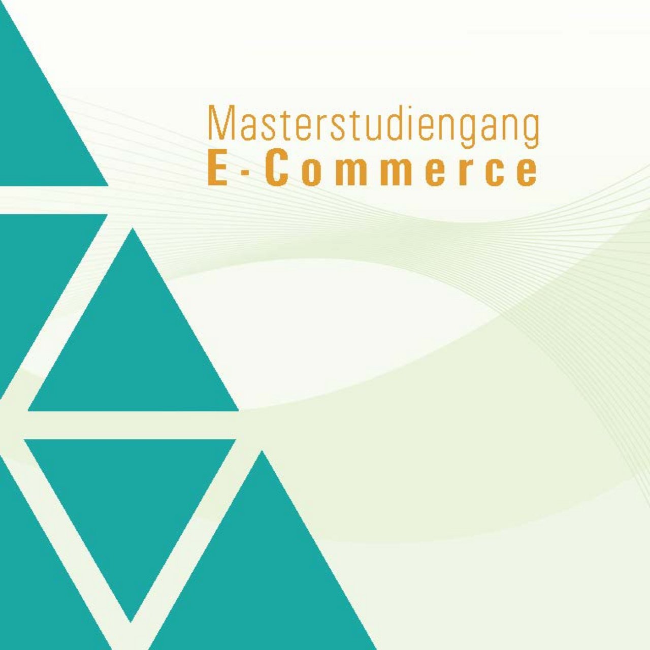 Titelseite Broschüre Master E-Commerce