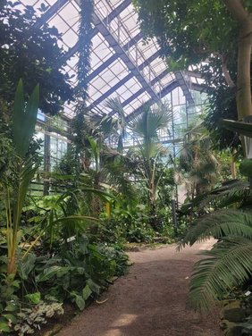 Blick in ein Gewächshaus des Botanischen Gartens Jena
