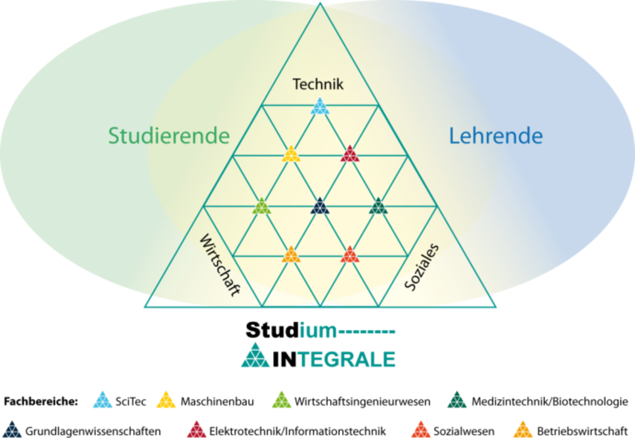 Grafik über den Aufbau von Studium Intergrale