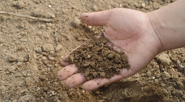Bodenanalyse: Hand mit Bodenprobe