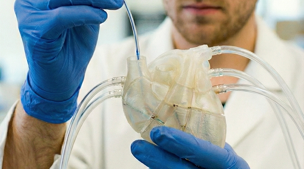 Symbolische Darstellung: Test eines Katheters in einem 3D-gedruckten Herzmodell (KI-generiert mit Gemini)