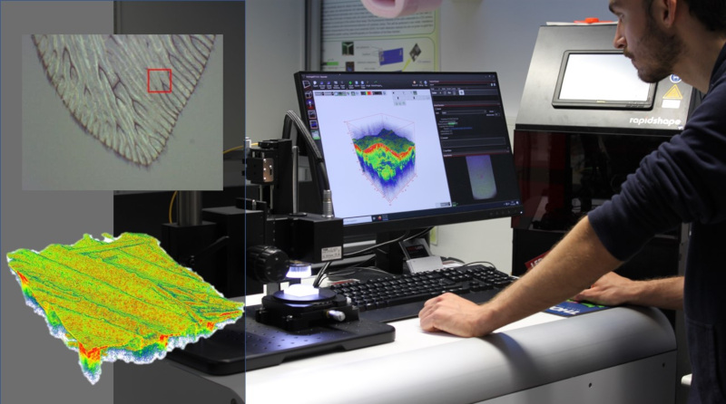 Morphologisches Tiefenprofil eines Libellenflügels aufgenommen mittels eines OCT-Systems