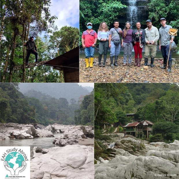 Auslandspraktikum Tena Ecuador