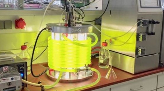 AlgaeOpt Labor-Photobioreaktor an der EAH Jena